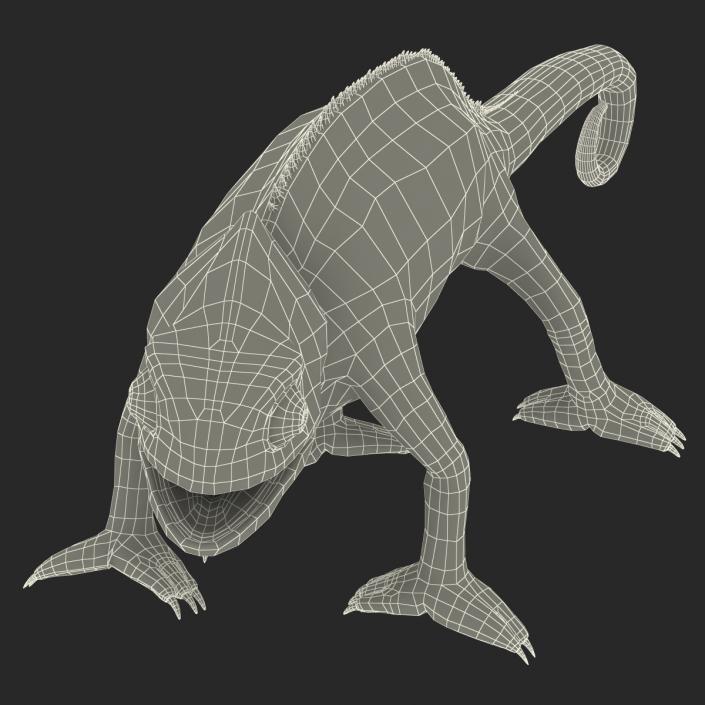 3D Chameleon Rigged