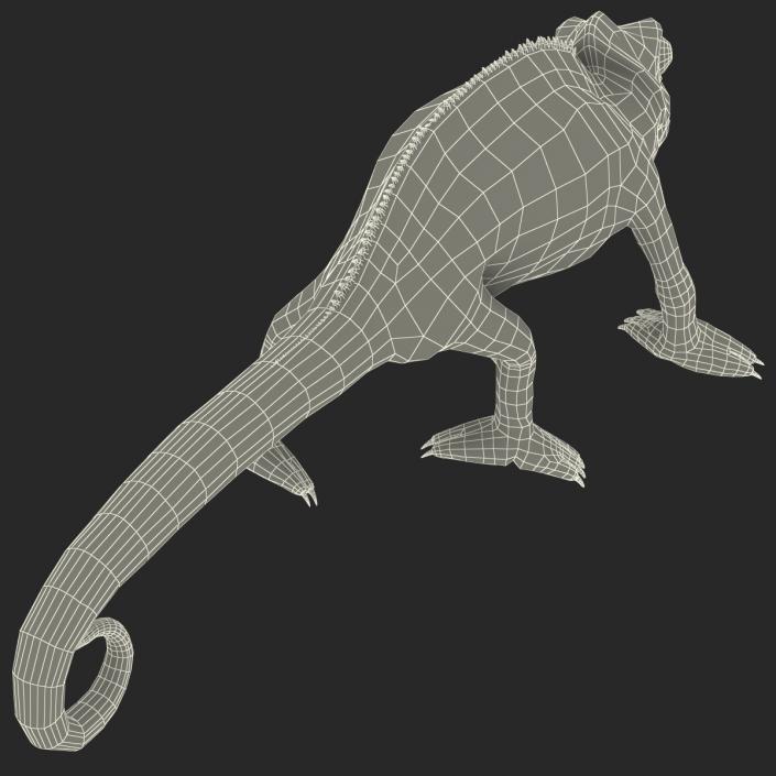 3D Chameleon Rigged