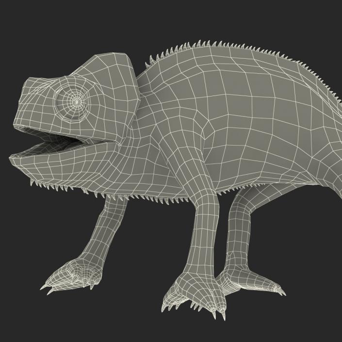 3D Chameleon Rigged