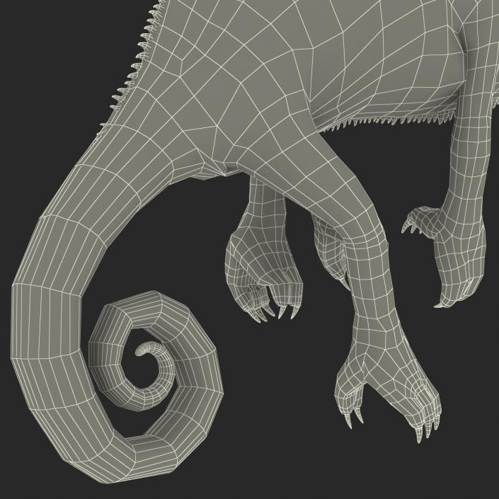 3D Chameleon Rigged