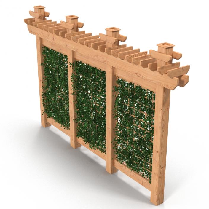 Garden Trellis 3D model