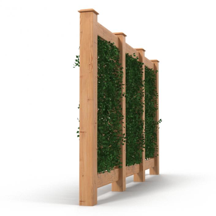 3D Garden Trellis 2