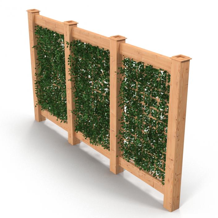 3D Garden Trellis 2