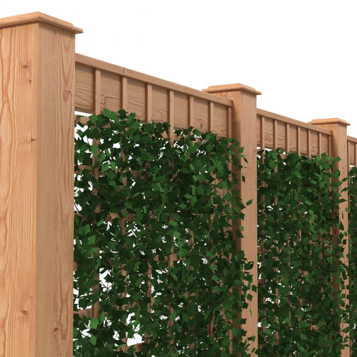 3D Garden Trellis 2