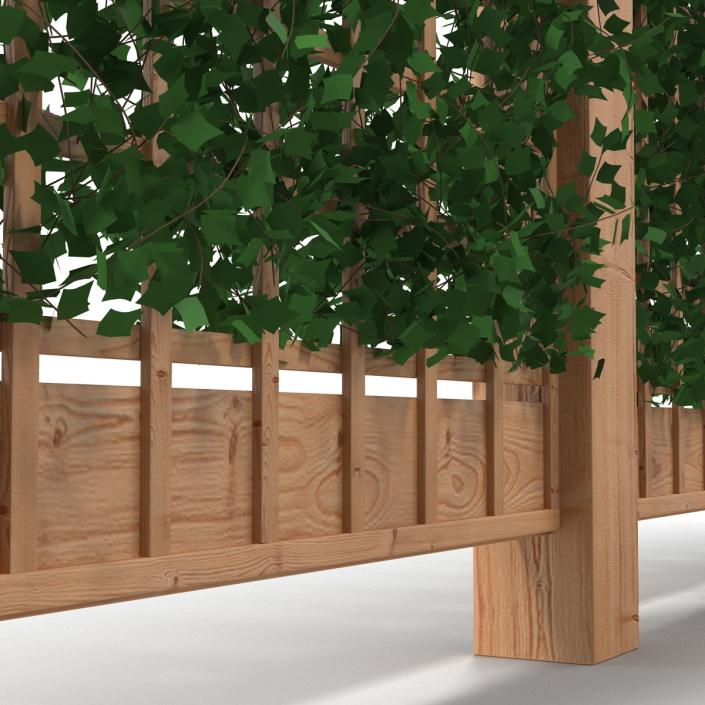 3D Garden Trellis 2