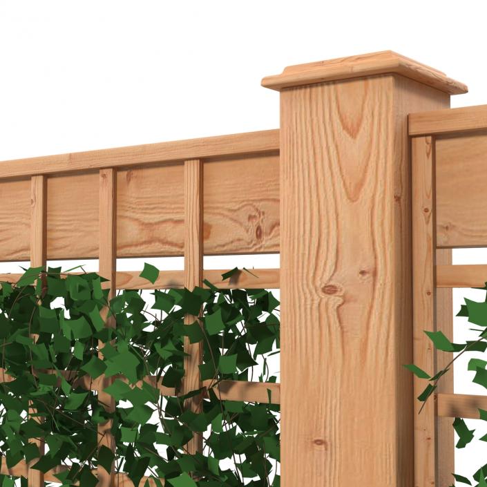 3D Garden Trellis 2