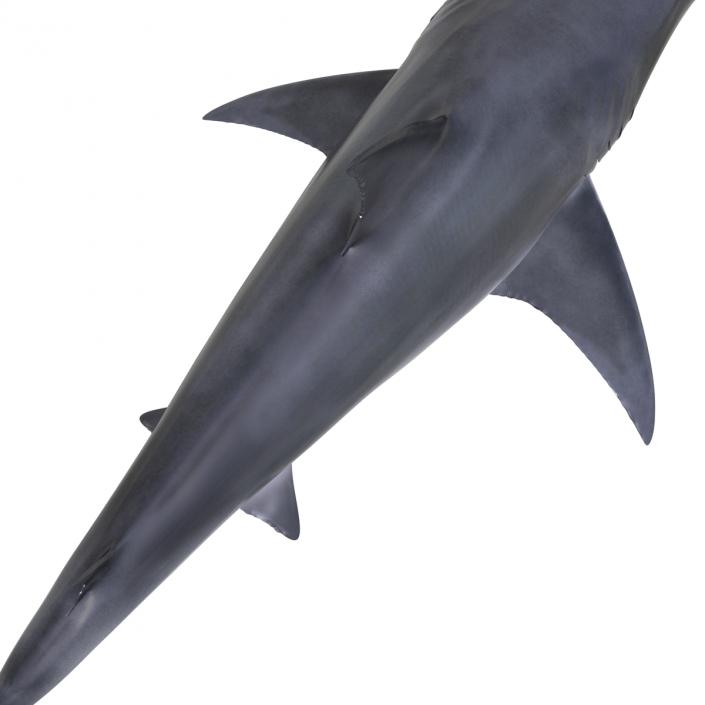 Great Hammerhead Shark Rigged 3D model