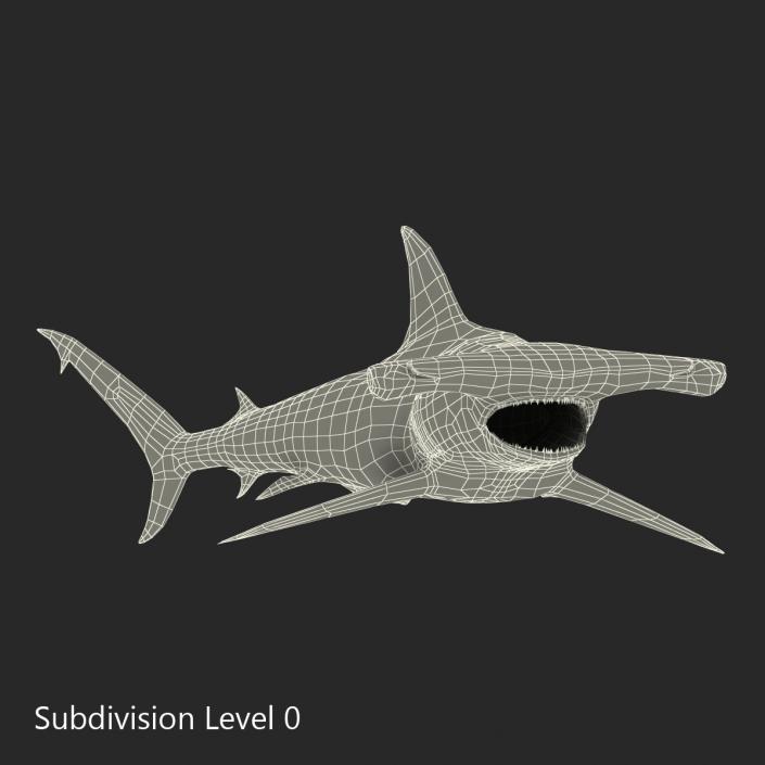 Great Hammerhead Shark Pose 2 3D model