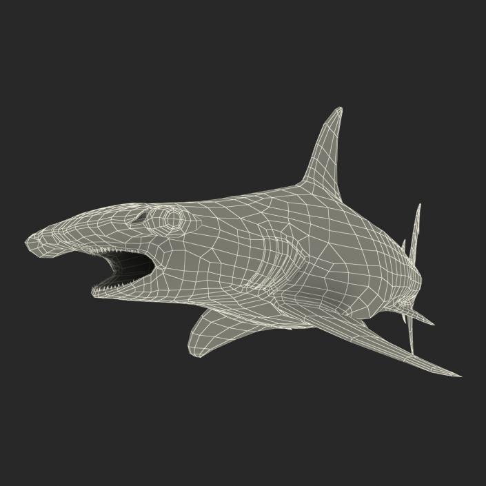 Great Hammerhead Shark Pose 2 3D model