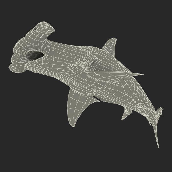 Great Hammerhead Shark Pose 2 3D model