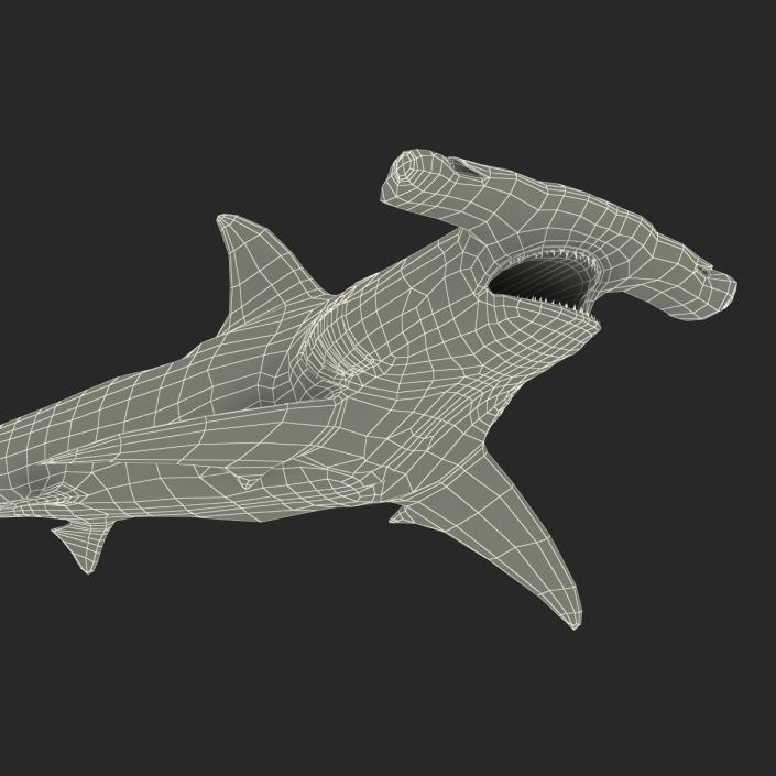 Great Hammerhead Shark Pose 2 3D model