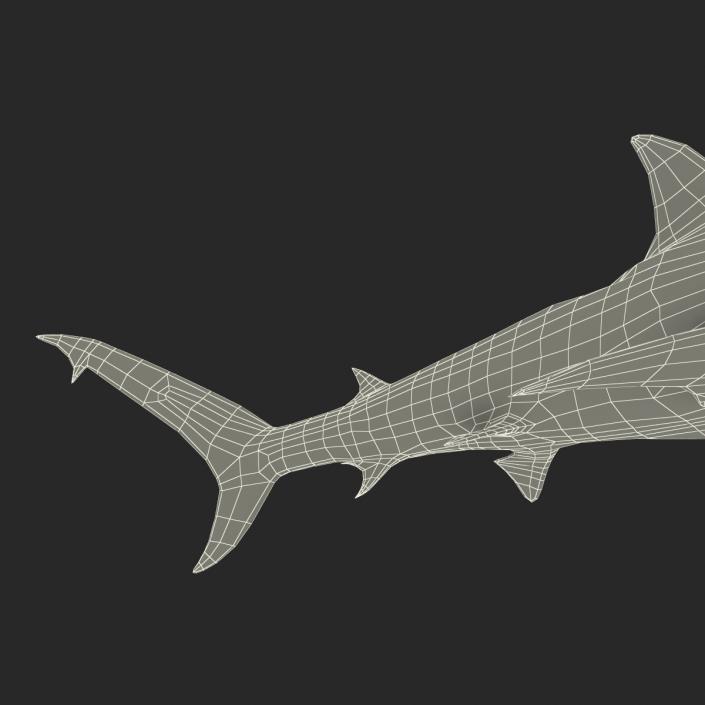 Great Hammerhead Shark Pose 2 3D model