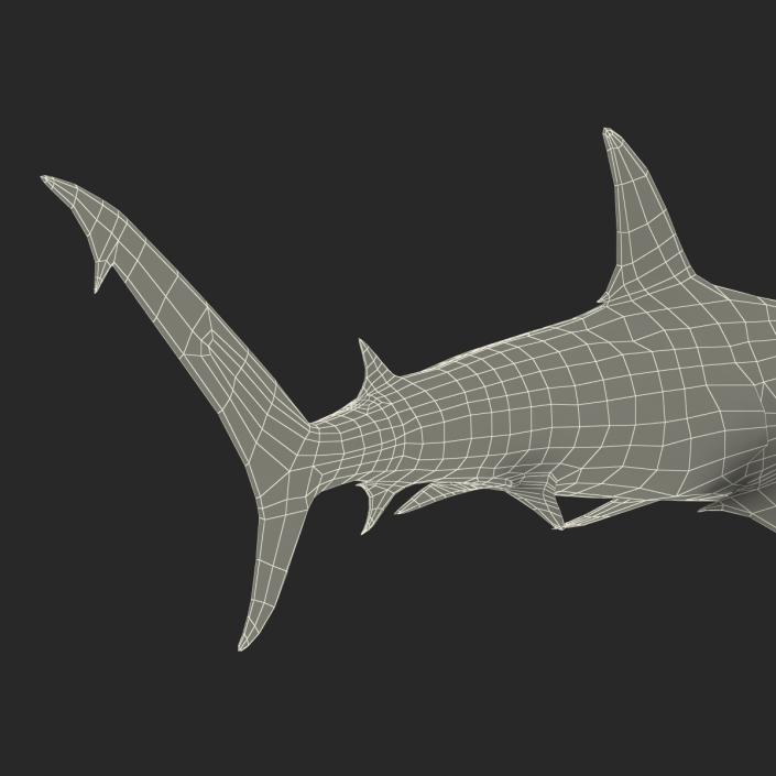 Great Hammerhead Shark Pose 2 3D model