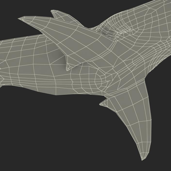 Great Hammerhead Shark Pose 2 3D model