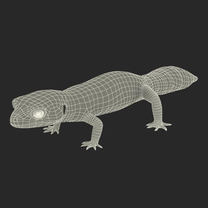 3D model Leopard Gecko Rigged