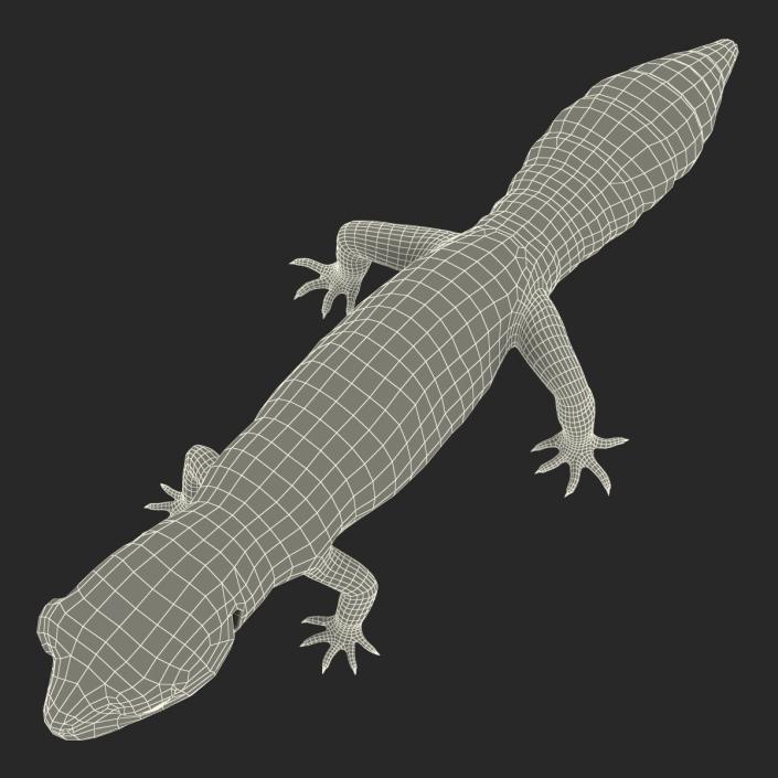 3D model Leopard Gecko Rigged