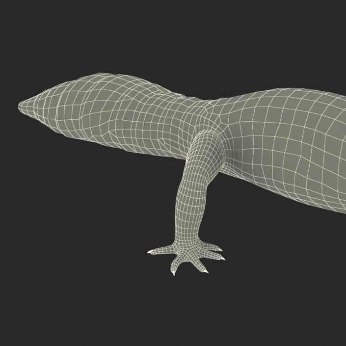 3D model Leopard Gecko Rigged