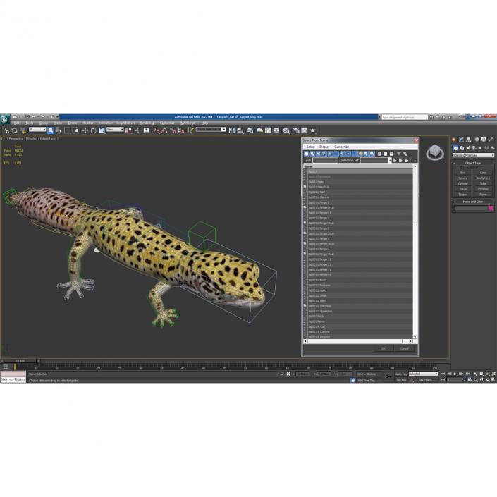 3D Leopard Gecko model