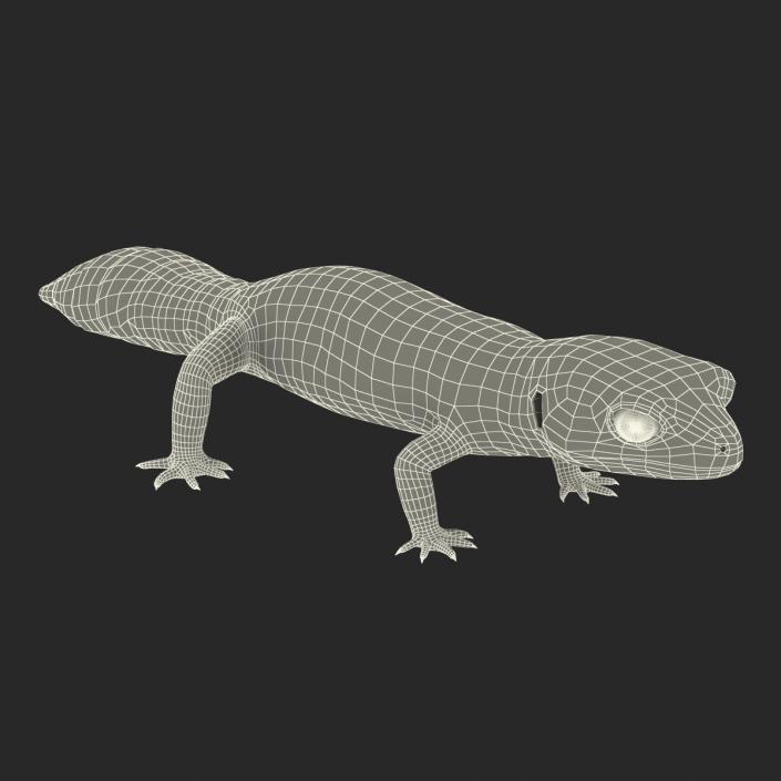 3D Leopard Gecko model