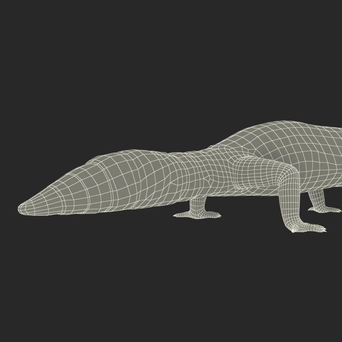 3D Leopard Gecko model