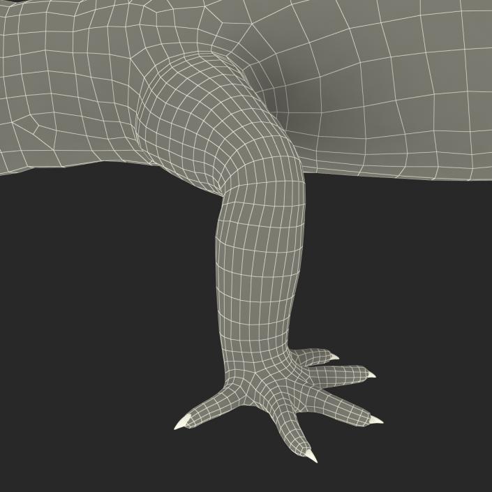 3D Leopard Gecko model