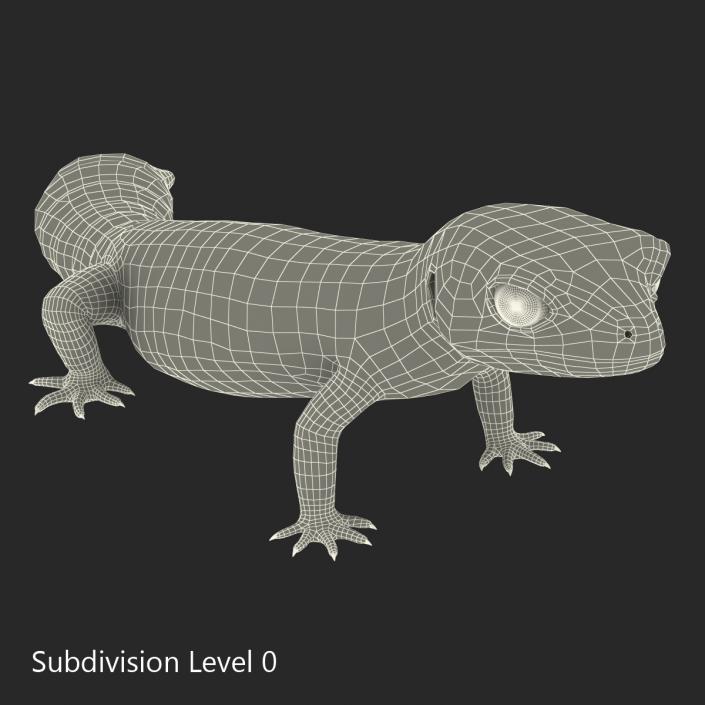 3D model Leopard Gecko Pose 2