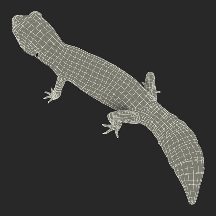 3D model Leopard Gecko Pose 2