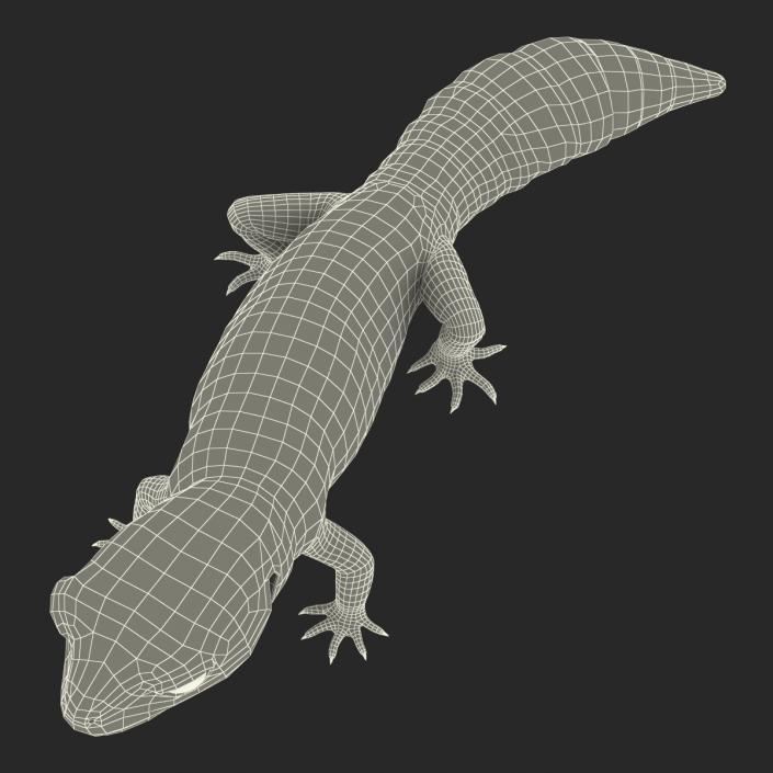 3D model Leopard Gecko Pose 2