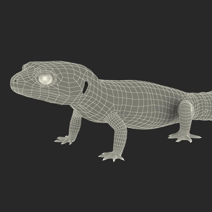 3D model Leopard Gecko Pose 2