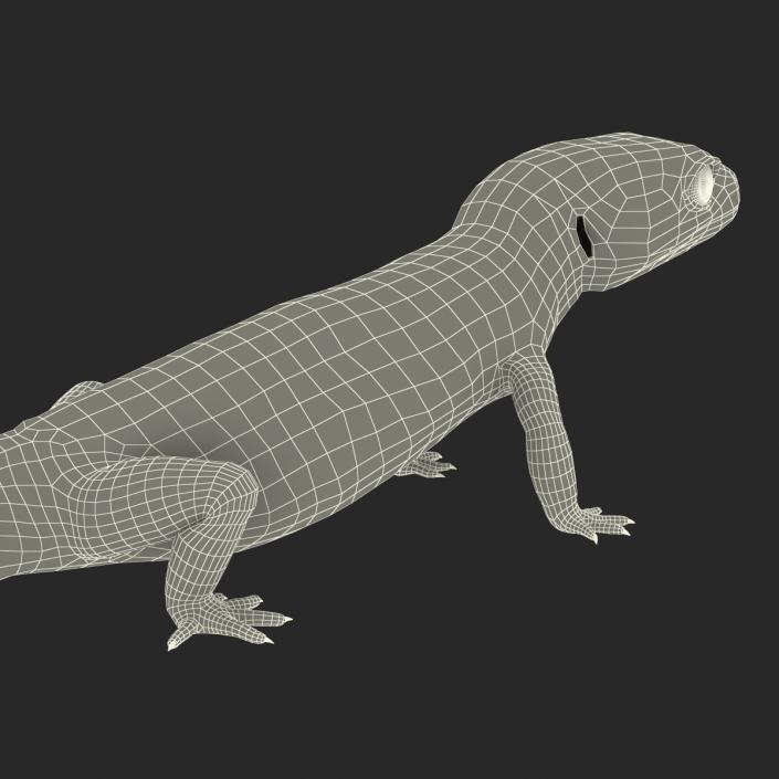 3D model Leopard Gecko Pose 2