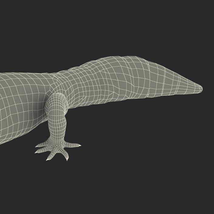 3D model Leopard Gecko Pose 2