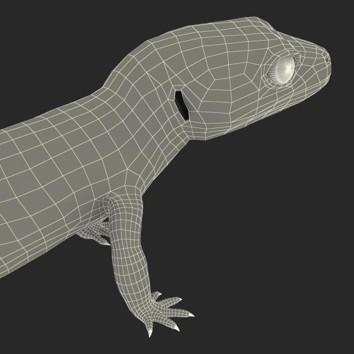 3D model Leopard Gecko Pose 2