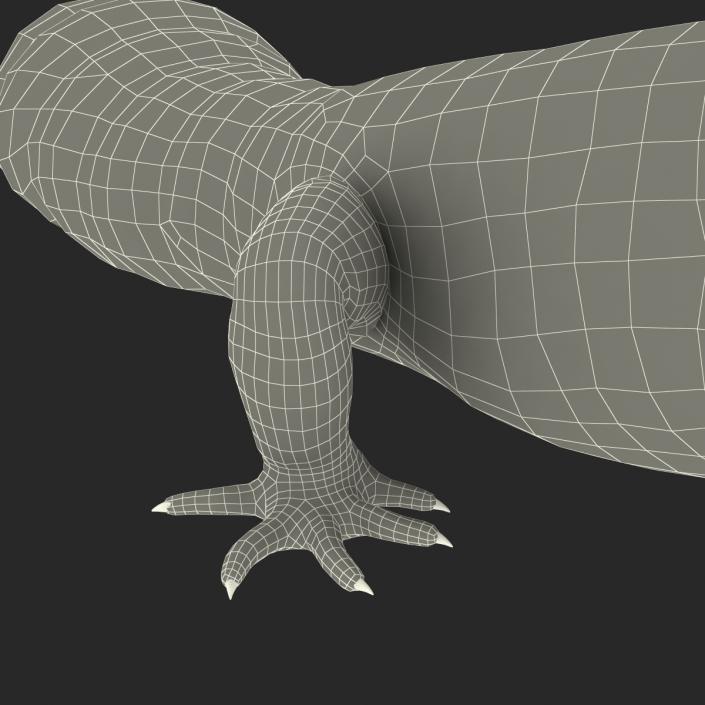 3D model Leopard Gecko Pose 2