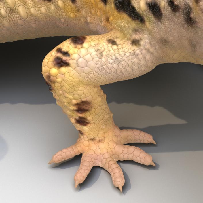 3D model Leopard Gecko Pose 4