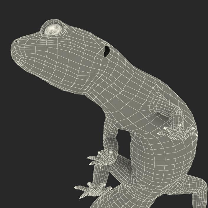 3D model Leopard Gecko Pose 4