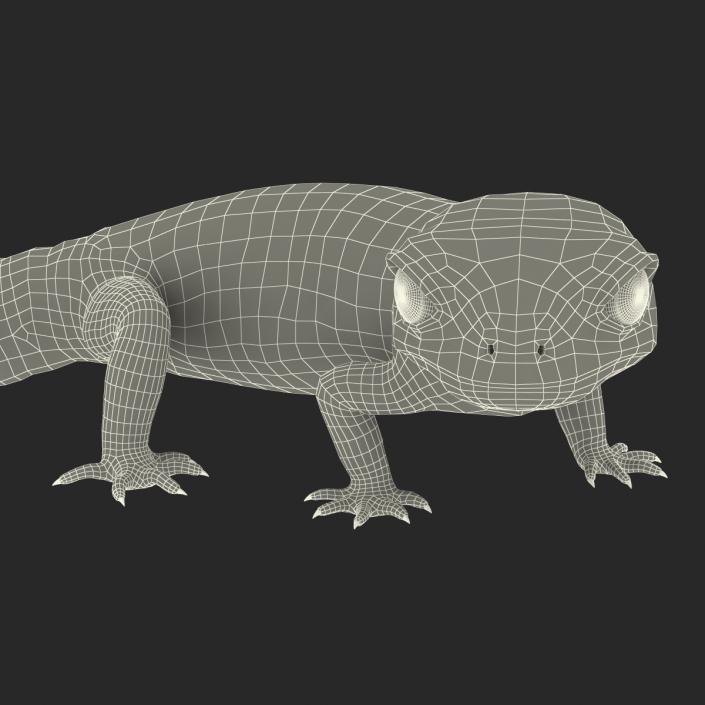 3D model Leopard Gecko Pose 4