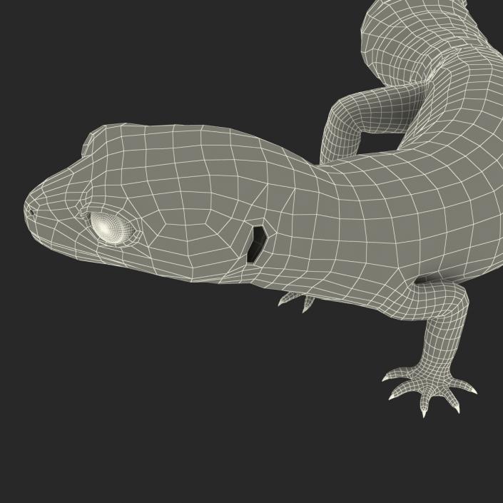 3D model Leopard Gecko Pose 4