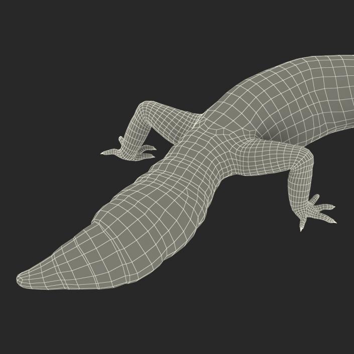 3D model Leopard Gecko Pose 4