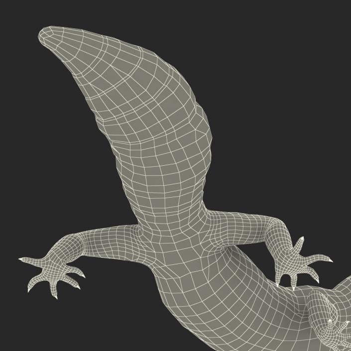 3D model Leopard Gecko Pose 4