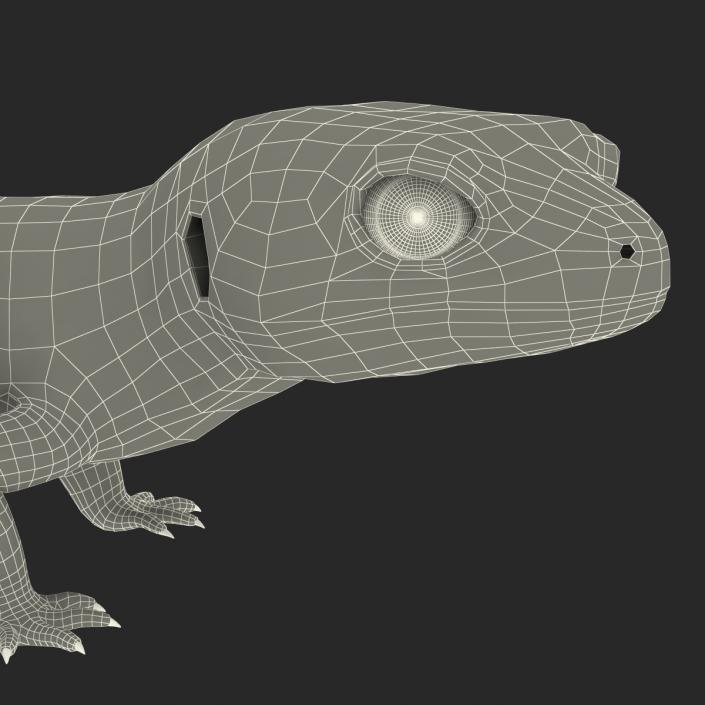 3D model Leopard Gecko Pose 4