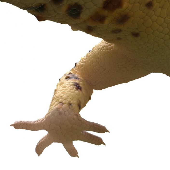 3D Leopard Gecko Walking Pose