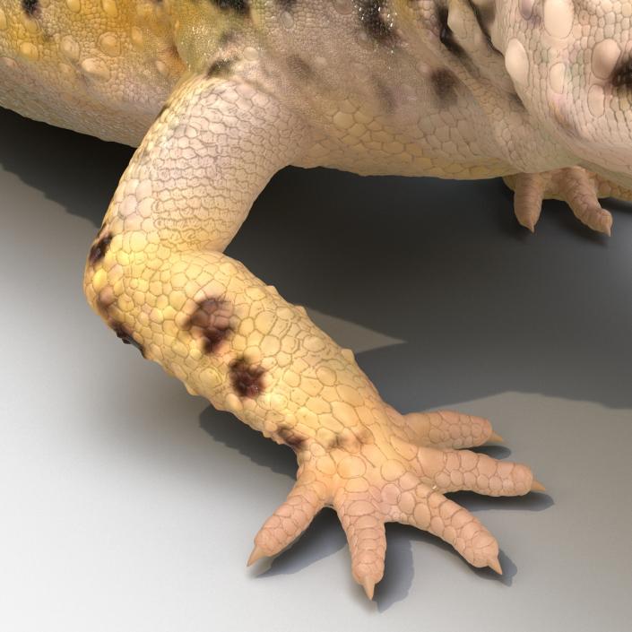 3D Leopard Gecko Walking Pose