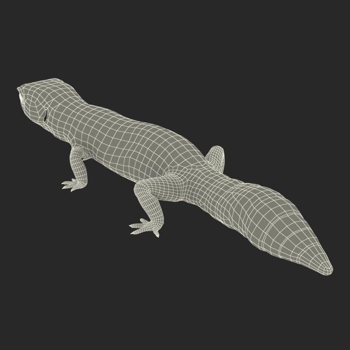 3D Leopard Gecko Walking Pose