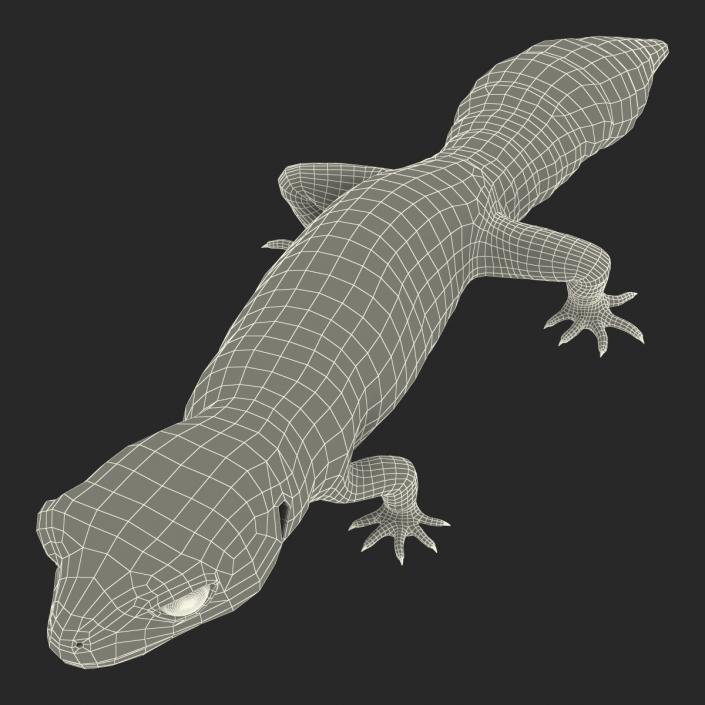 3D Leopard Gecko Walking Pose