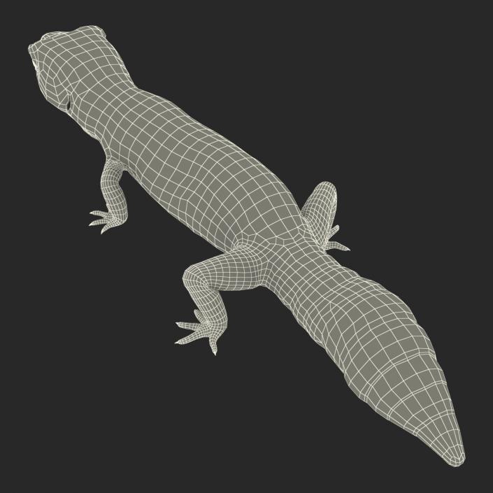 3D Leopard Gecko Walking Pose