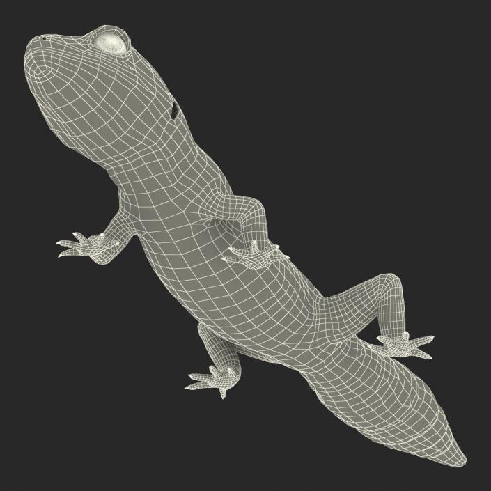 3D Leopard Gecko Walking Pose