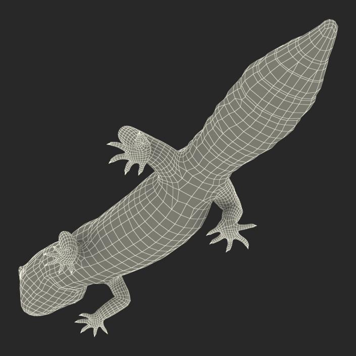 3D Leopard Gecko Walking Pose