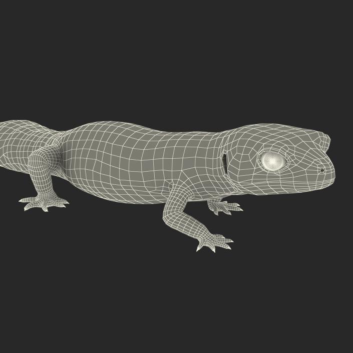 3D Leopard Gecko Walking Pose