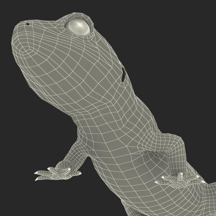 3D Leopard Gecko Walking Pose