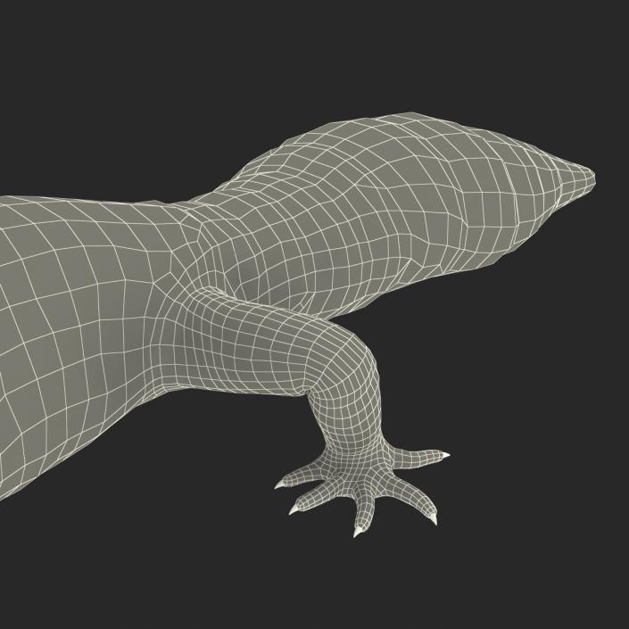 3D Leopard Gecko Walking Pose